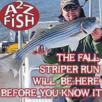A2Z Saltwater Fly Fishing