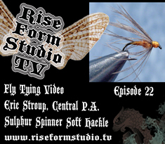 Fly Tying Video Soft Hackle Sulphur Spinner